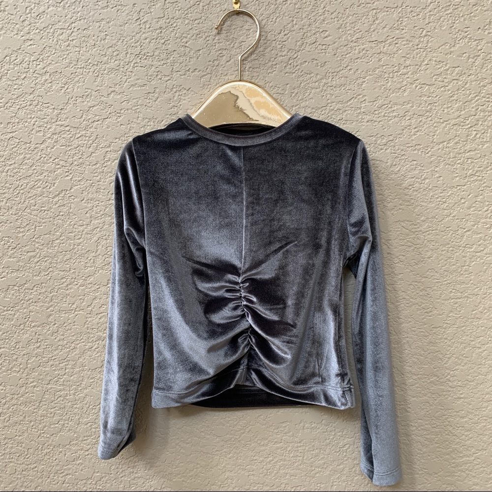 Zara Sliver Velvet Long Sleeve Shirt